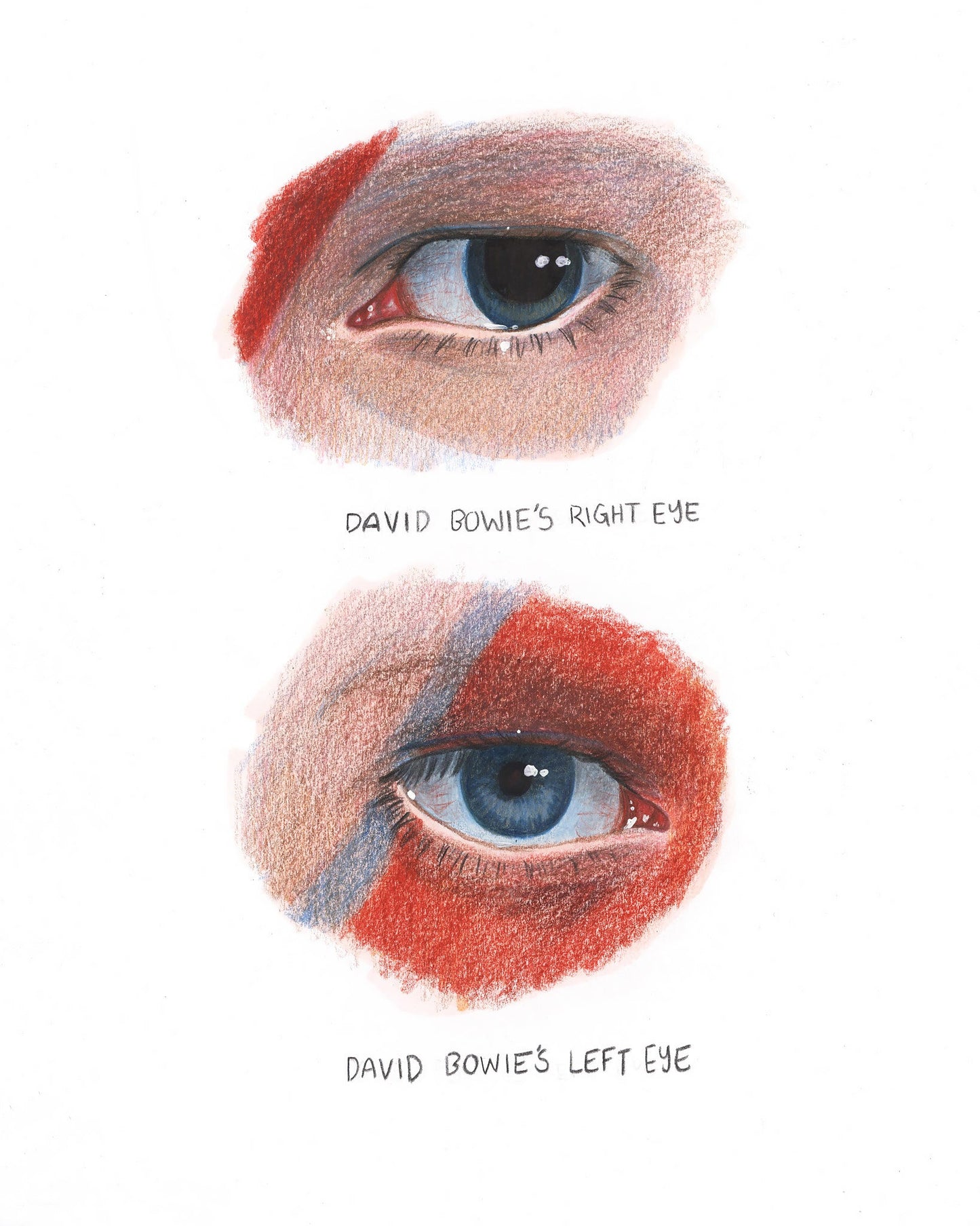 Photo-realistic colored pencil study of David Bowie’s eyes, one blue and one brown, by Caya Crum