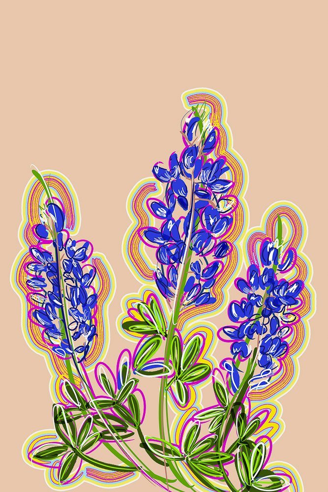 Texas Bluebonnet Abstract colorful Texas Hill Country Bluebonnets print by Betsy Crum on beige background