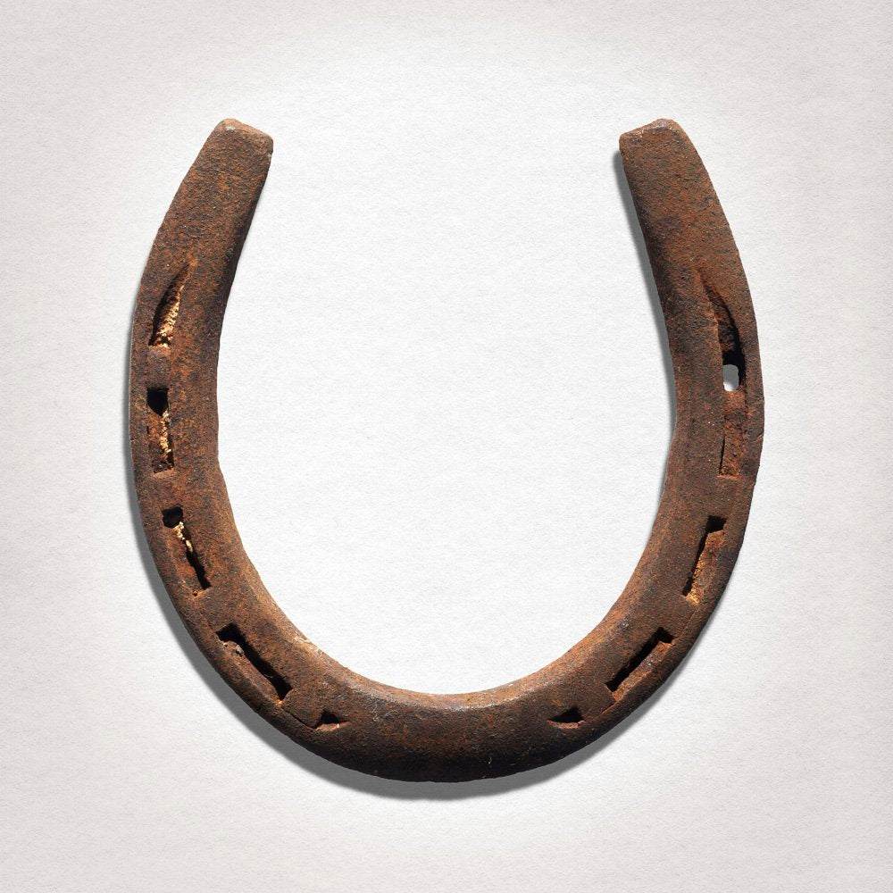 Rusty horseshoe photographed on a white background, archival museum print