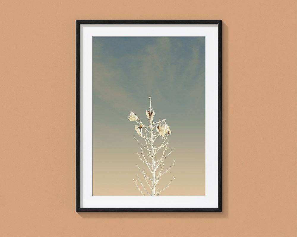 White Sands New Mexico cactus art print by Betsy Crum in black frame on beige wall