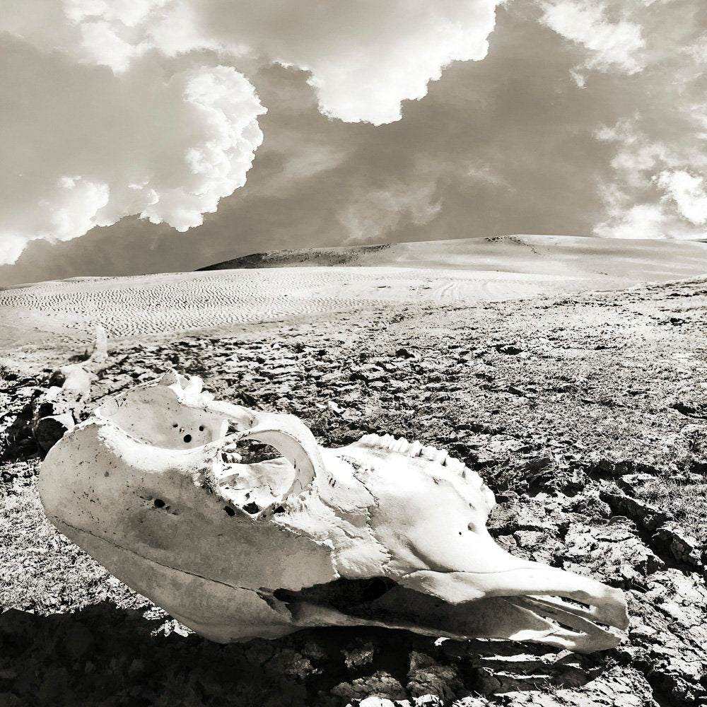 Desert Southwest Art