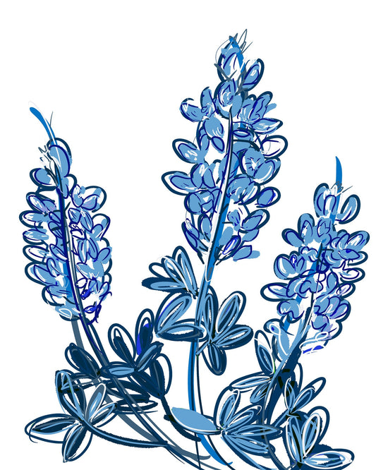 Bluebonnets Chinoiserie Texas art print with blue floral design on archival paper by Crum Art
