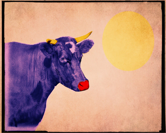 Cow Warhol Ranch art print featuring a purple cow with yellow horns and red nose against a beige background with a yellow sun, by CRUM ART