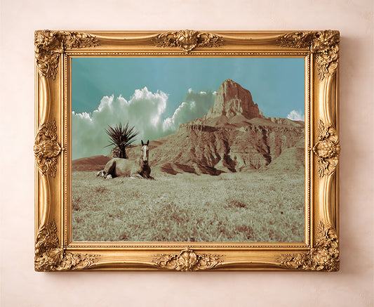 Guadalupe Mountains Horse Big Bend art print by Betsy Crum — in a gold frame