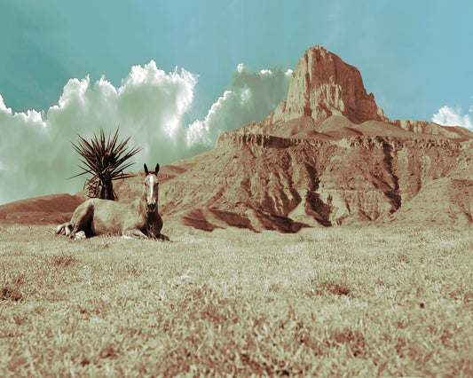 Se Guadalupe Mountains Art Print with horse resting in foreground and textured mountain background in vintage style