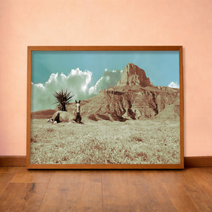 Guadalupe Mountains Horse Big Bend art print by Betsy Crum — horizontal room scene