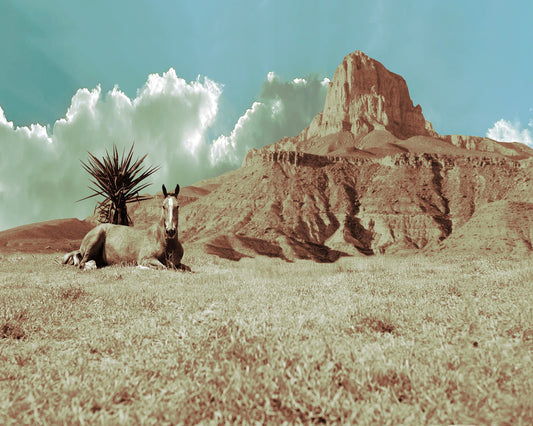 Horse lying in front of Guadalupe Mountains under a partly cloudy sky fine art print