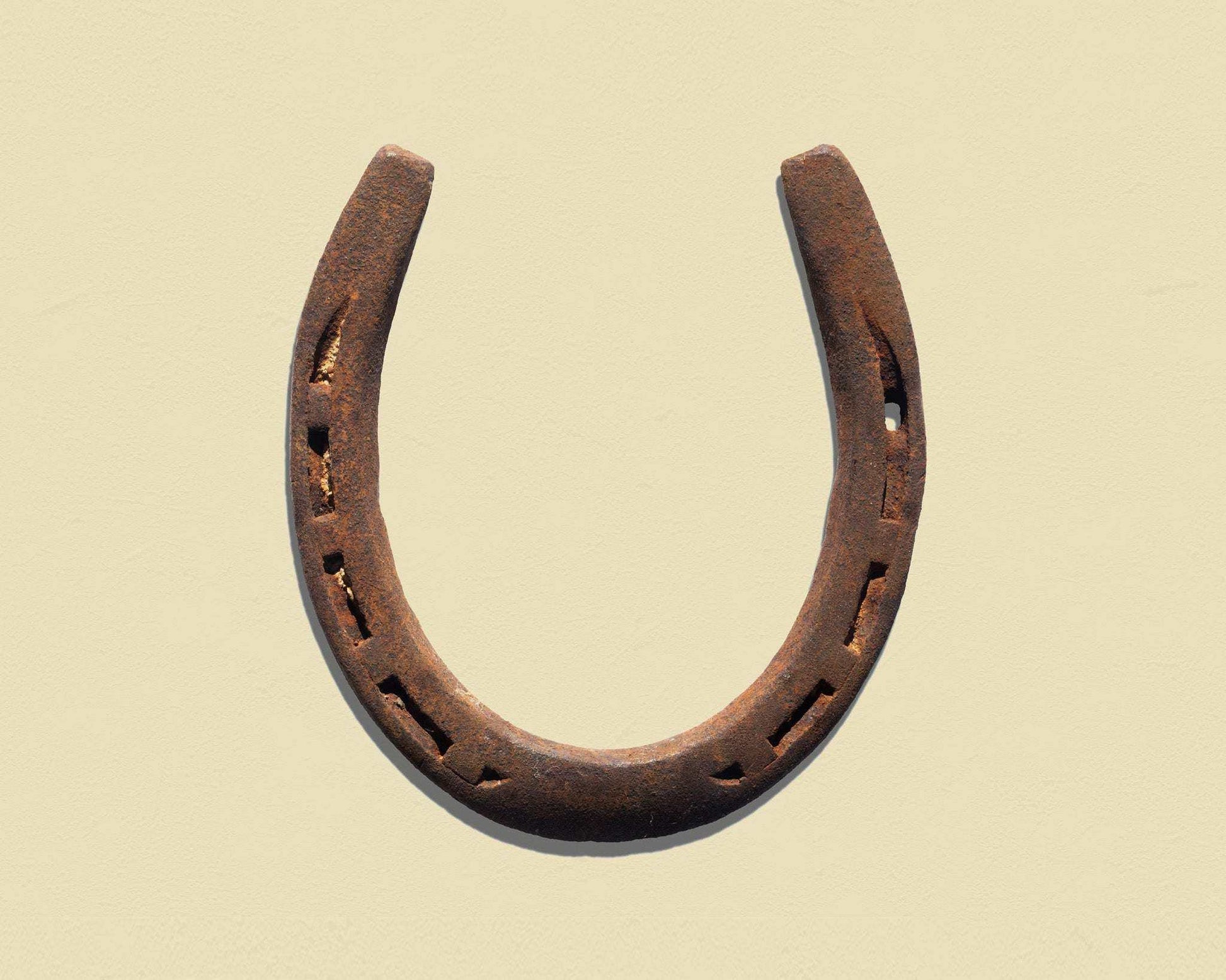 Seshoe Art Print by Betsy Crum, rusty horseshoe on beige background, modern wall art by Crum Art