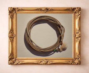 Modern Lasso Lariat — one of the 3 prints in The Texas West Set | Crum Art