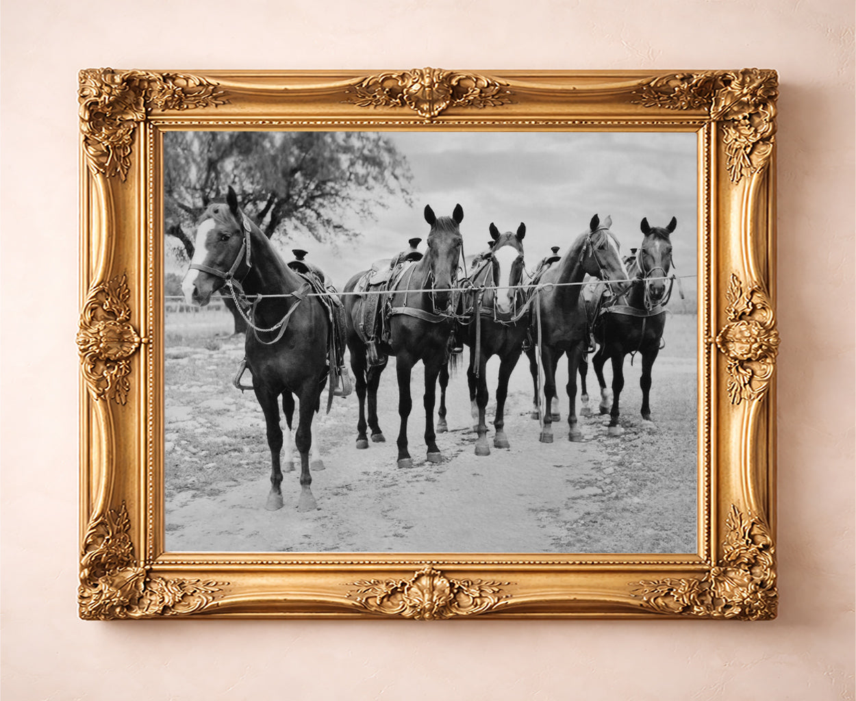 Horse wall art Tin Top Quarter Horses print by Carl Crum in a gold frame room scene