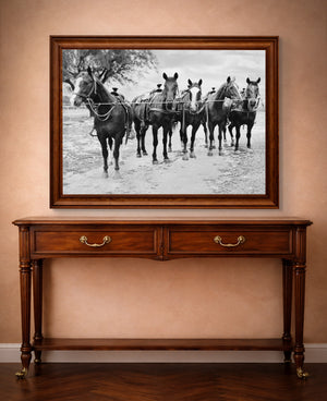 Horse wall art Tin Top Quarter Horses print by Carl Crum shown horizontal in a styled room