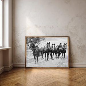 Horse wall art Tin Top Quarter Horses print by Carl Crum framed room mockup