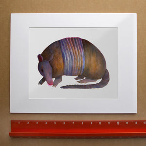 Watercolor Armadillo art print by Caya Crum — horizontal room scene