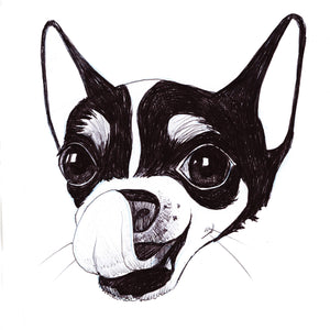 Chihuahua Ink Sketch — original painting by Caya Crum