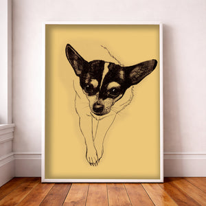 Chihuahua dog art print in classical pen and ink style