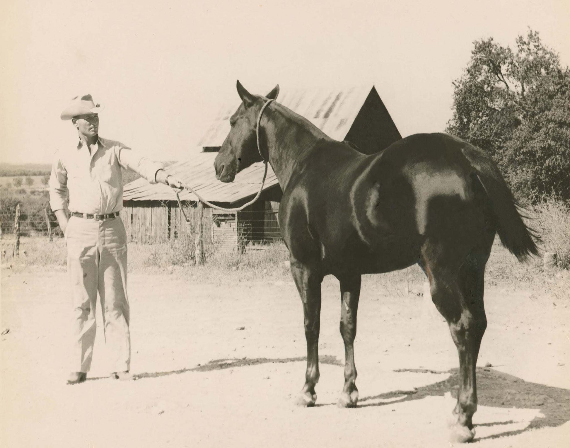 Vintage cowboy holding horse rope in black and white Texas ranch photo