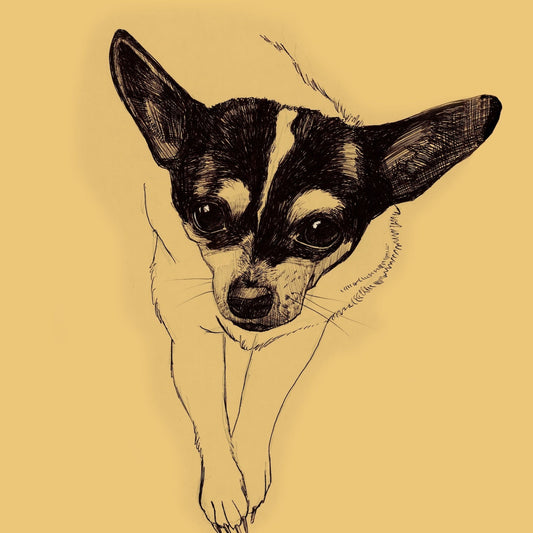 Edie Sketch Chihuahua Line Drawing Art Print | Caya Crum | Crum Art Crum Art
