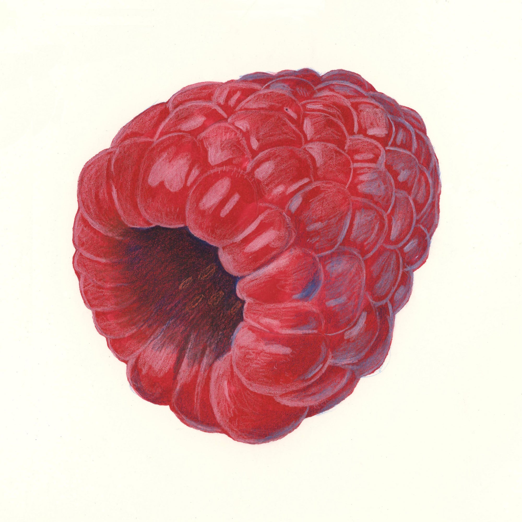 Hyperrealistic Raspberry Art Print by Caya Crum, inspired by the rich red color, sculptural detail, and close-up realism of a single raspberry rendered with striking softness and precision, available at crumart.com. This museum quality print is made right here in Texas.