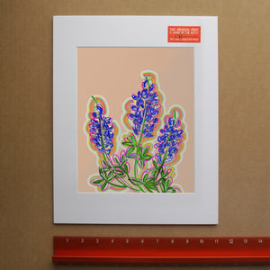 Matted Texas bluebonnet art print with pink pop art background by Betsy Crum