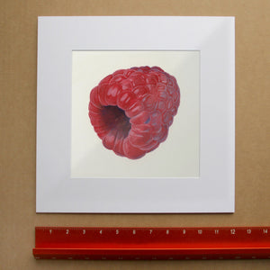 Realistic Raspberry Art Print by Caya Crum, inspired by botanical observation, saturated berry color, and the quiet impact of a single raspberry painted with close attention and care, available at crumart.com. This museum quality print is made right here in Texas.