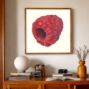 Red Raspberry Wall Art Print by Caya Crum, inspired by the rich crimson tones and realistic form of a single raspberry, offering the kind of simple fruit art that feels fresh, cheerful, and quietly striking, available at crumart.com. This museum quality print is made right here in Texas.