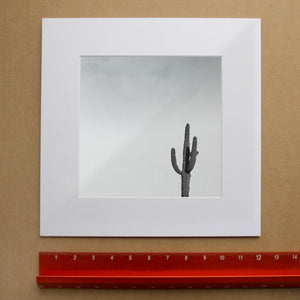 Cosmic Saguaro — a lone saguaro under a silver sky, black and white cactus art print by Betsy Crum