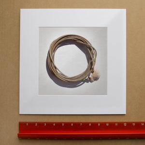 Modern Lariat on White print, 8x8 matted to 12x12, by Carl Crum