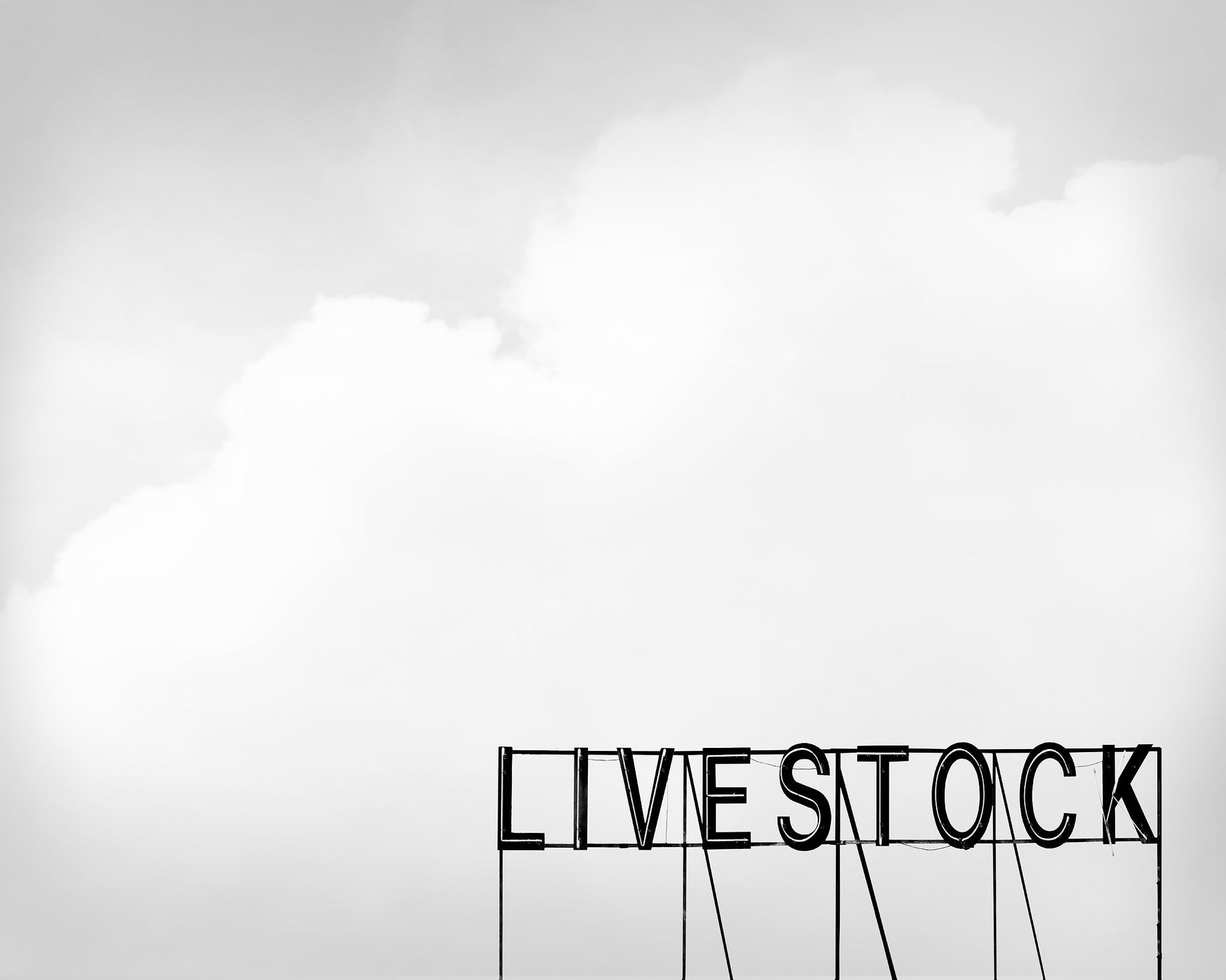 Texas West Series – Livestock Sign Western Art Print | Betsy Crum Art Crum Art