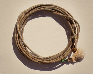 Modern Lasso Lariat western art print by Carl Crum, Texas West Series, hand-signed fine art print