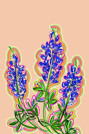 Texas Bluebonnet art print Betsy Crum