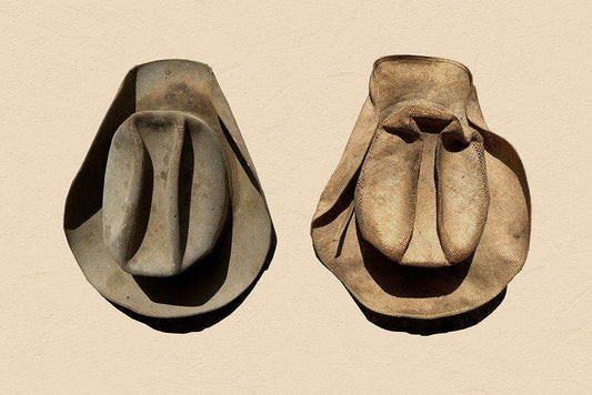 Comp Arnold's Winter & Summer Hats Crum Art print by Betsy Crum on cotton rag paper