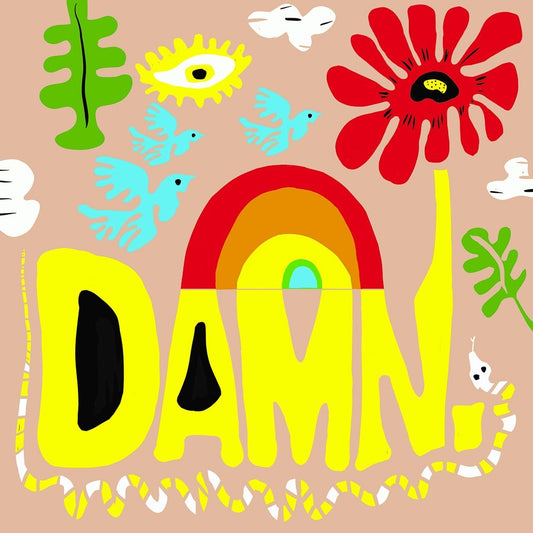 DAMN. PINK Background colorful art print with yellow text, rainbow, flowers, birds, and abstract shapes on pink background