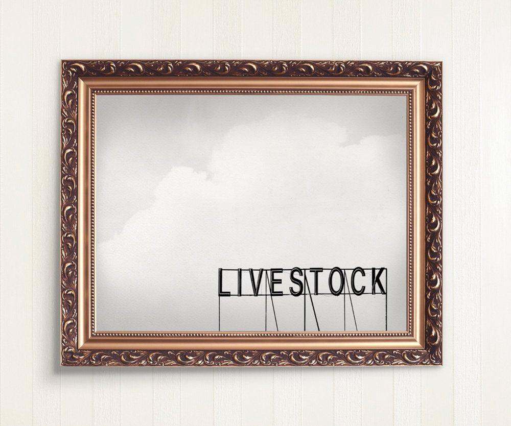 Livestock Fair Park Photography art print by Betsy Crum