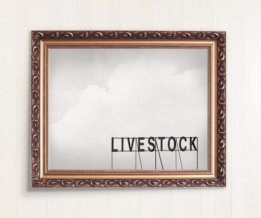 Livestock Fair Park Photography art print by Betsy Crum