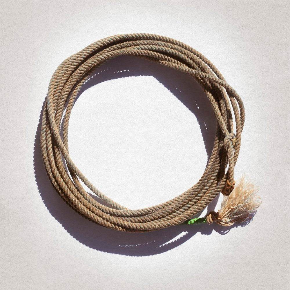Minimalist rodeo lariat print by Carl Crum on acid-free cotton paper.