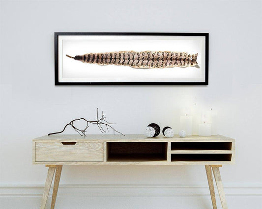 Texas Rattlesnake Art Print by Betsy Crum framed above a modern wooden console table with minimalist decor