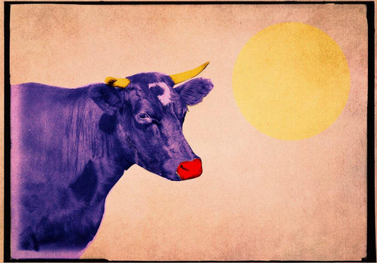 Purple standing cow with yellow horns and red nose against a beige background with a large yellow sun, museum print on heavyweight cotton paper