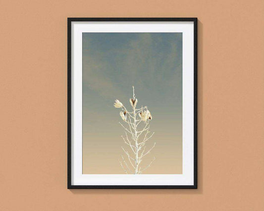 White Sands New Mexico cactus art print by Betsy Crum in black frame on beige wall