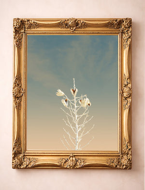 Desert Art Print – White Sands Yucca Western Wall Art | Betsy Crum
