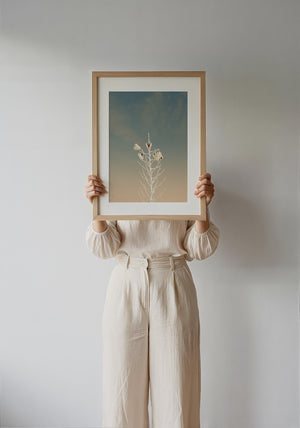 White Sands Yucca desert art print by Betsy Crum — framed with velvet mat