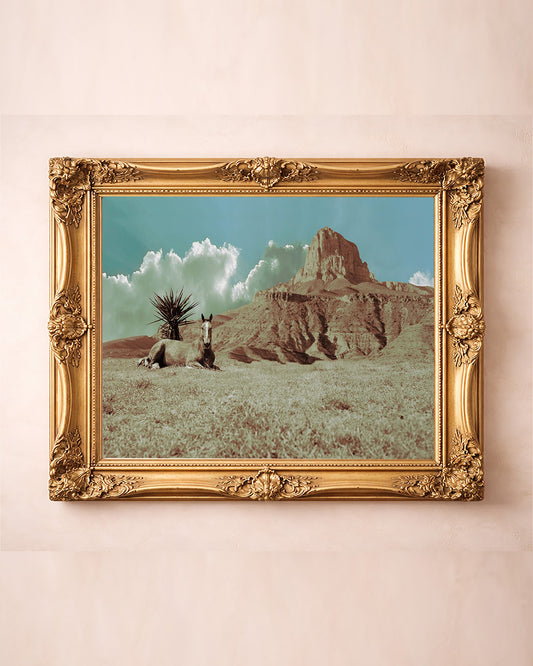 Guadalupe Mountains Horse Big Bend art print by Betsy Crum — in a gold frame
