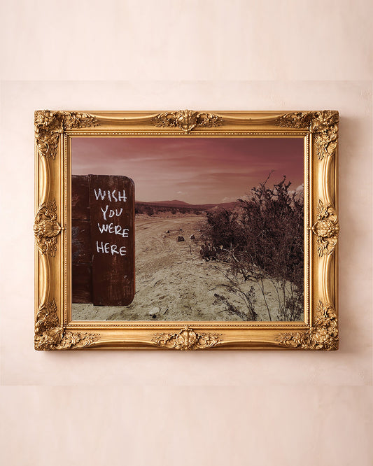 Wish You Were Here Big Bend desert photograph by Betsy Crum in a gold frame