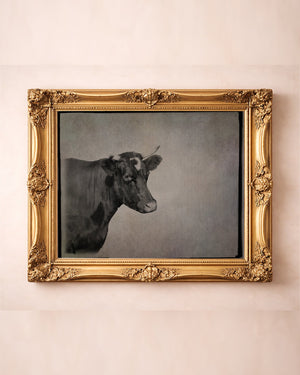 Cow Art | Sepia Cow Portrait Photograph | Crum Art