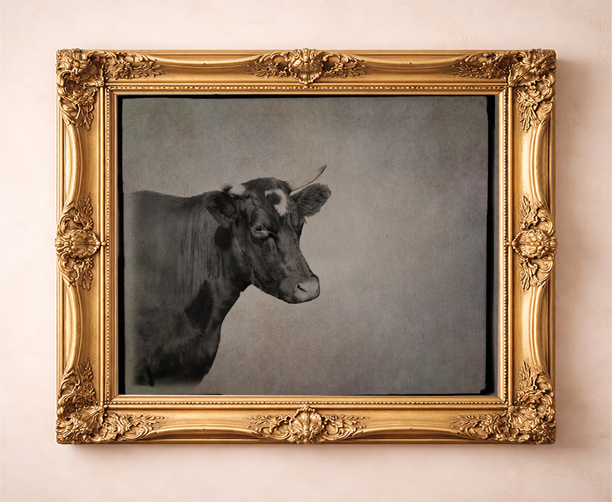 Cow Art | Sepia Cow Portrait Photograph | Crum Art