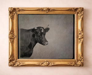 Cow Art | Sepia Cow Portrait Photograph | Crum Art