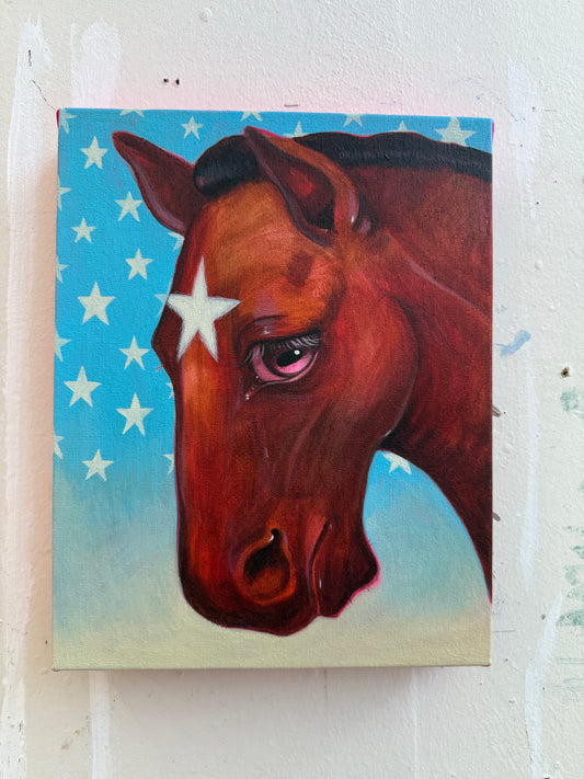 Star original painting by Caya Crum — horse with a white forehead star and pink eyes on a starry blue ground, 11 x 14 inches