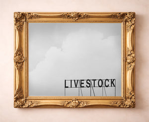 Western wall art Livestock Sign print by Betsy Crum in a gold frame room scene