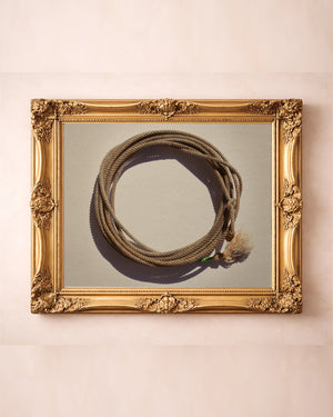 Modern lasso lariat western photography print by Carl Crum in a gold frame