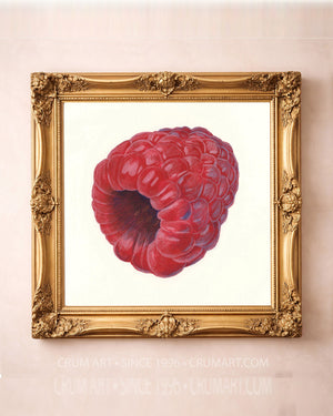Raspberry Botanical in a gold frame by Caya Crum — square kitchen wall art available at crumart.com. This museum quality print is made right here in Texas.