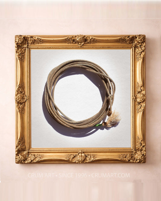 Modern Lariat on White — square lasso art print by Carl Crum in a gold frame